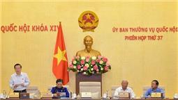 Quy định chặt chẽ, tránh lợi dụng để trốn thuế